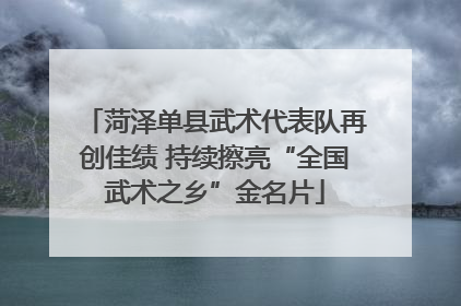 菏泽单县武术代表队再创佳绩 持续擦亮“全国武术之乡”金名片