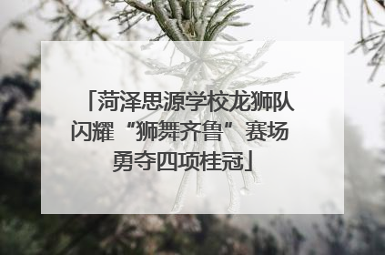 菏泽思源学校龙狮队闪耀“狮舞齐鲁”赛场 勇夺四项桂冠