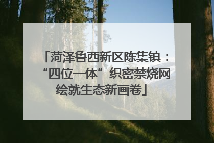 菏泽鲁西新区陈集镇：“四位一体”织密禁烧网 绘就生态新画卷