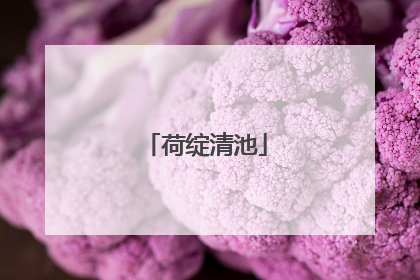 荷绽清池