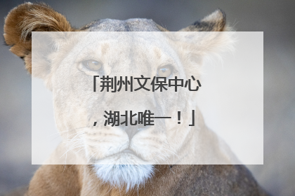 荆州文保中心，湖北唯一！