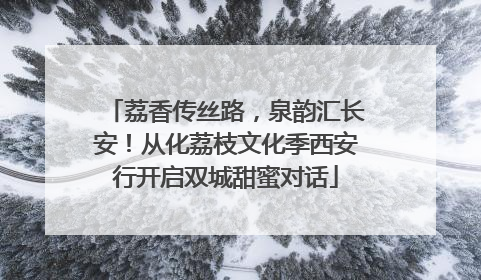 荔香传丝路，泉韵汇长安！从化荔枝文化季西安行开启双城甜蜜对话