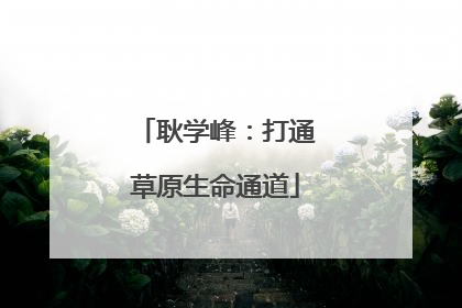 耿学峰：打通草原生命通道