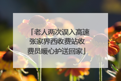 老人两次误入高速 张家界西收费站收费员暖心护送回家