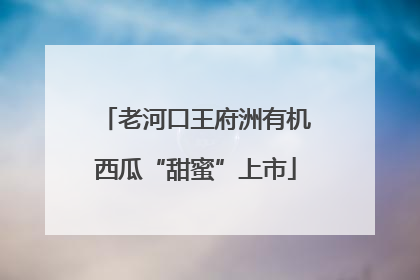 老河口王府洲有机西瓜“甜蜜”上市