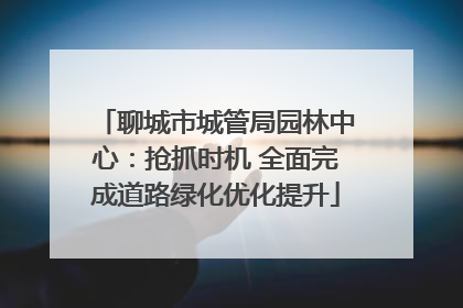 聊城市城管局园林中心：抢抓时机 全面完成道路绿化优化提升