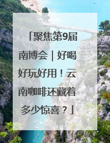 聚焦第9届南博会｜好喝好玩好用！云南咖啡还藏着多少惊喜？