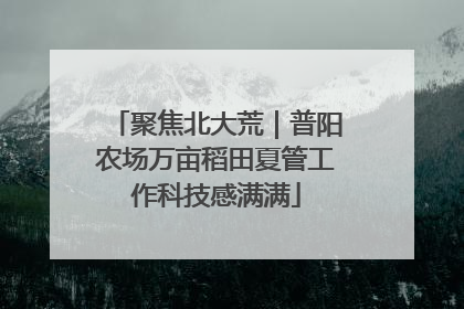 聚焦北大荒｜普阳农场万亩稻田夏管工作科技感满满