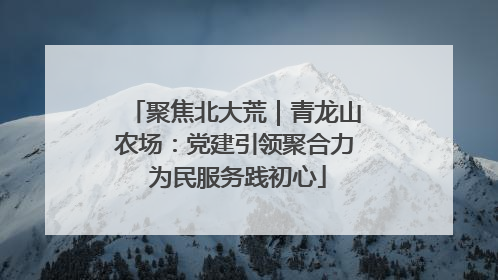 聚焦北大荒｜青龙山农场：党建引领聚合力 为民服务践初心