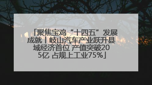 聚焦宝鸡“十四五”发展成就丨岐山汽车产业跃升县域经济首位 产值突破205亿 占规上工业75%