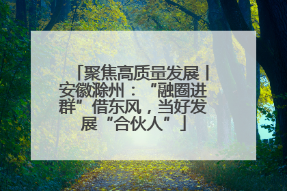 聚焦高质量发展丨安徽滁州：“融圈进群”借东风，当好发展“合伙人”
