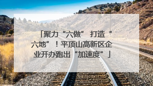 聚力“六做” 打造“六地”！平顶山高新区企业开办跑出“加速度”