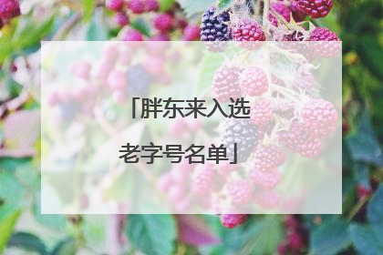 胖东来入选老字号名单