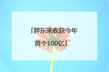 胖东来收获今年首个100亿