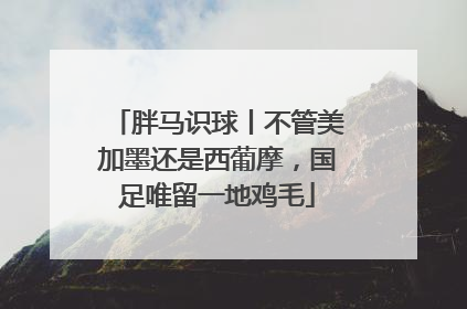 胖马识球丨不管美加墨还是西葡摩，国足唯留一地鸡毛