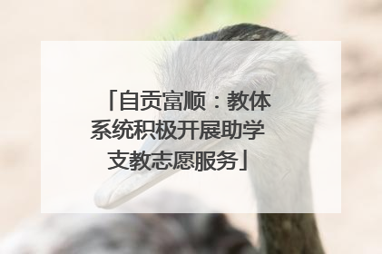 自贡富顺：教体系统积极开展助学支教志愿服务