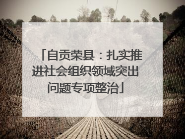 自贡荣县：扎实推进社会组织领域突出问题专项整治