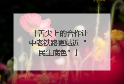 舌尖上的合作让中老铁路更贴近“民生底色”