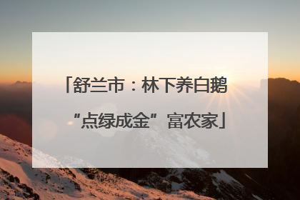 舒兰市：林下养白鹅 “点绿成金”富农家