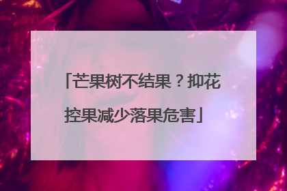 芒果树不结果？抑花控果减少落果危害