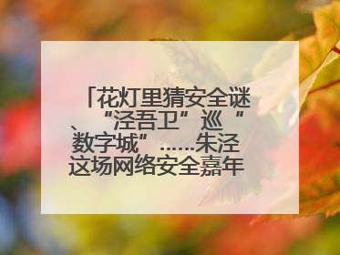 花灯里猜安全谜、“泾吾卫”巡“数字城”……朱泾这场网络安全嘉年华太会玩了
