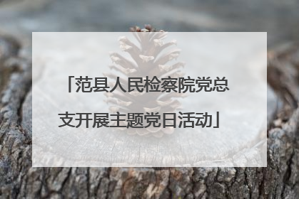 范县人民检察院党总支开展主题党日活动