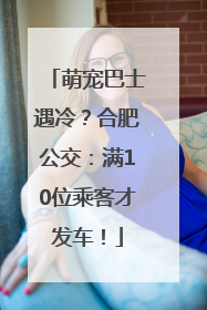 萌宠巴士遇冷？合肥公交：满10位乘客才发车！