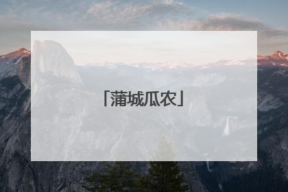 蒲城瓜农