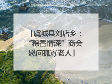 虞城县刘店乡：“粽香情深”商会慰问孤寡老人