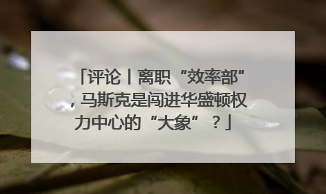 评论丨离职“效率部”，马斯克是闯进华盛顿权力中心的“大象”？