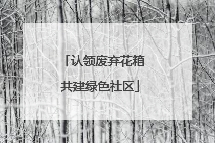 认领废弃花箱 共建绿色社区
