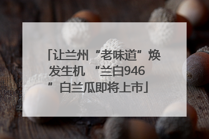 让兰州“老味道”焕发生机 “兰白946”白兰瓜即将上市