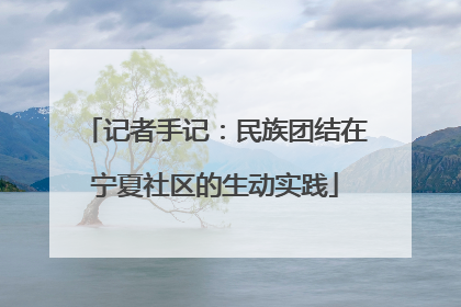 记者手记：民族团结在宁夏社区的生动实践