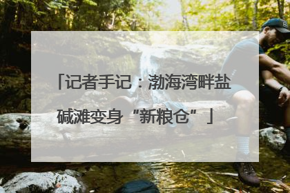 记者手记：渤海湾畔盐碱滩变身“新粮仓”