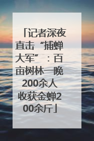 记者深夜直击“捕蝉大军”：百亩树林一晚200余人收获金蝉200余斤