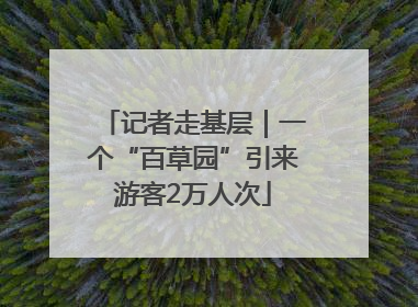 记者走基层｜一个“百草园”引来游客2万人次