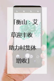 衡山：艾草迎丰收 助力村集体增收