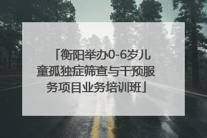 衡阳举办0-6岁儿童孤独症筛查与干预服务项目业务培训班