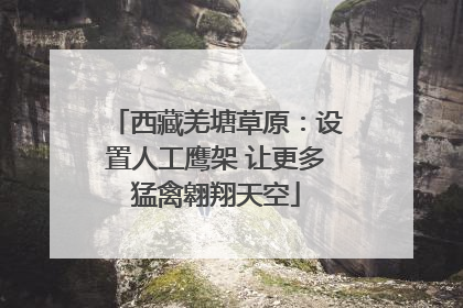 西藏羌塘草原：设置人工鹰架 让更多猛禽翱翔天空