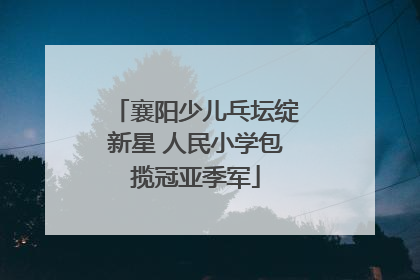 襄阳少儿乓坛绽新星 人民小学包揽冠亚季军