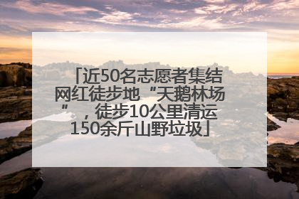 近50名志愿者集结网红徒步地“天鹅林场”，徒步10公里清运150余斤山野垃圾