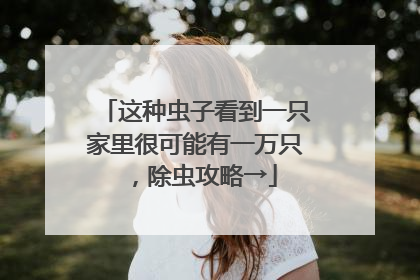 这种虫子看到一只家里很可能有一万只，除虫攻略→