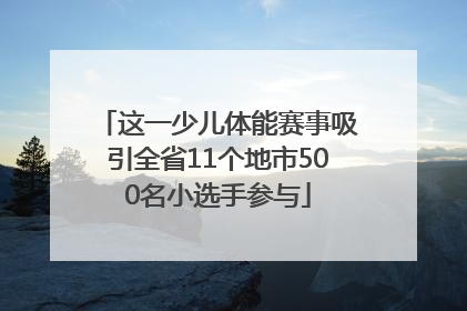 这一少儿体能赛事吸引全省11个地市500名小选手参与