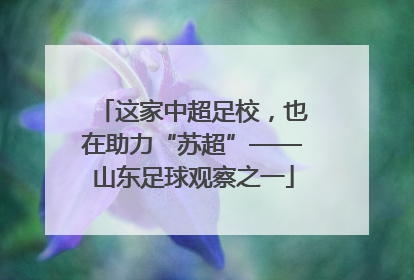 这家中超足校，也在助力“苏超”——山东足球观察之一