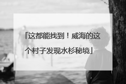 这都能找到！威海的这个村子发现水杉秘境