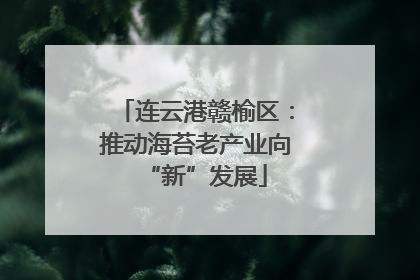连云港赣榆区：推动海苔老产业向“新”发展