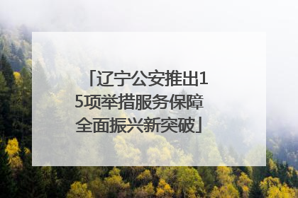 辽宁公安推出15项举措服务保障全面振兴新突破