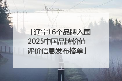 辽宁16个品牌入围2025中国品牌价值评价信息发布榜单