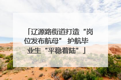 辽源路街道打造“岗位发布航母” 护航毕业生“平稳着陆”