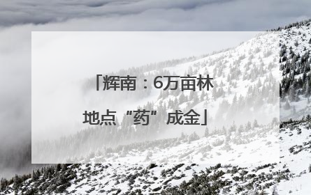 辉南：6万亩林地点“药”成金